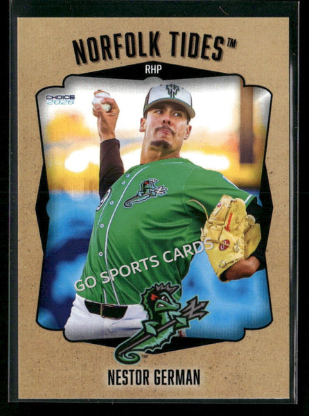 2026 Norfolk Tides Nestor German