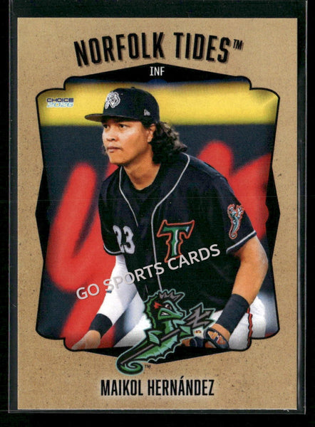 2026 Norfolk Tides Maikol Hernandez