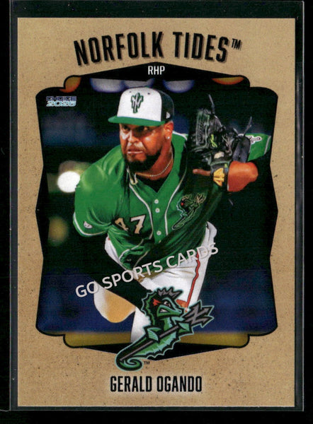 2026 Norfolk Tides Gerald Ogando