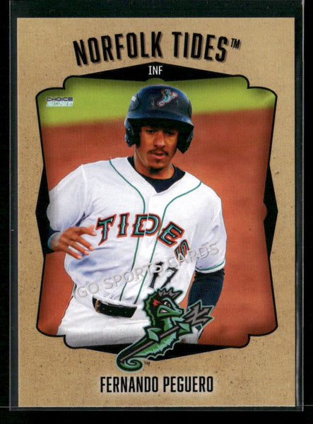 2026 Norfolk Tides Fernando Peguero