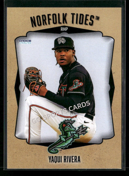 2026 Norfolk Tides Yaqui Rivera