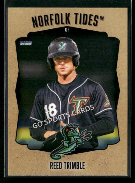 2026 Norfolk Tides Reed Trimble
