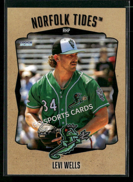 2026 Norfolk Tides Levi Wells