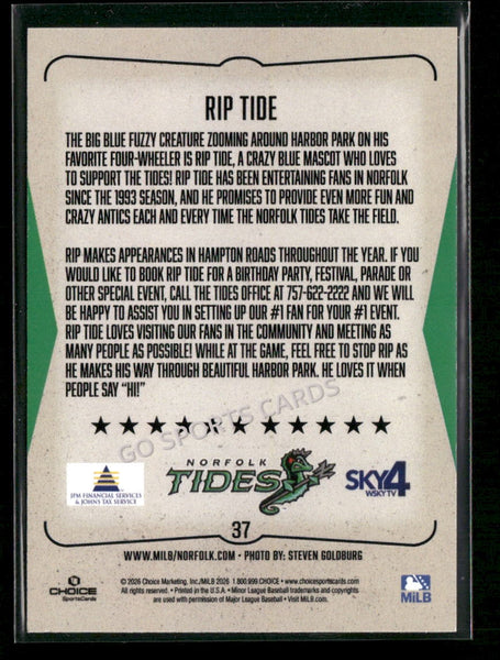 2026 Norfolk Tides Rip Tide