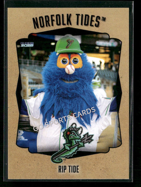 2026 Norfolk Tides Rip Tide