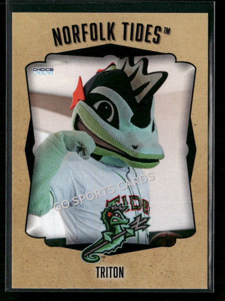 2026 Norfolk Tides Triton Mascot