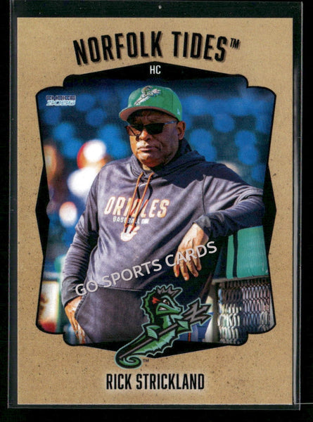 2026 Norfolk Tides Rick Strickland