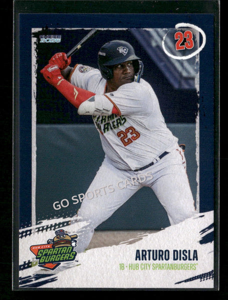 2026 Hub City Spartanburgers Arturo Disla
