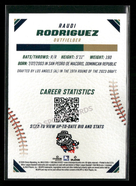 2026 Southern League Top Prospects Raudi Rodriguez