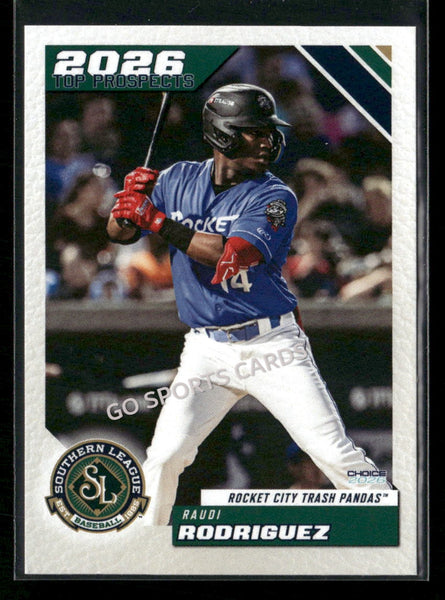 2026 Southern League Top Prospects Raudi Rodriguez