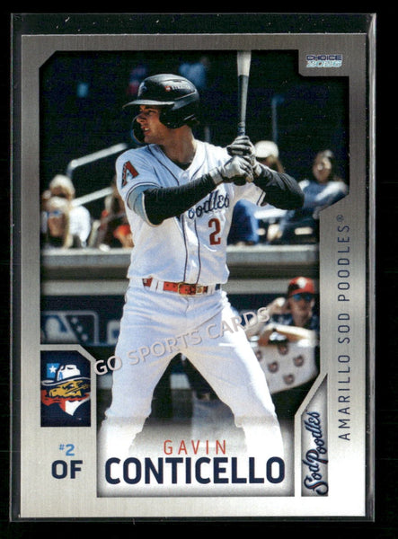 2026 Amarillo Sod Poodles Gavin Conticello