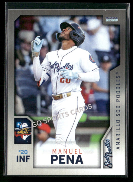 2026 Amarillo Sod Poodles Manuel Pena