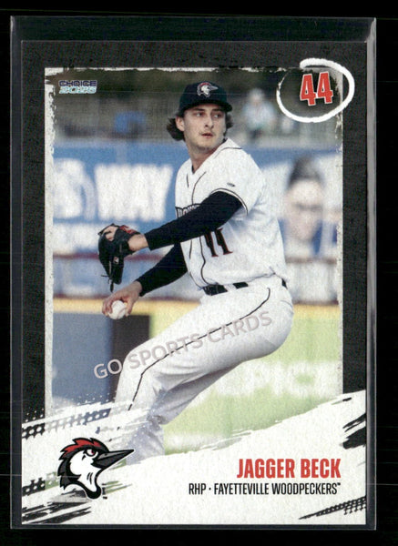 2026 Fayetteville Woodpeckers Jagger Beck