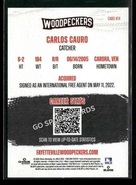 2026 Fayetteville Woodpeckers Carlos Cauro