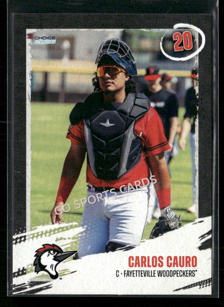 2026 Fayetteville Woodpeckers Carlos Cauro