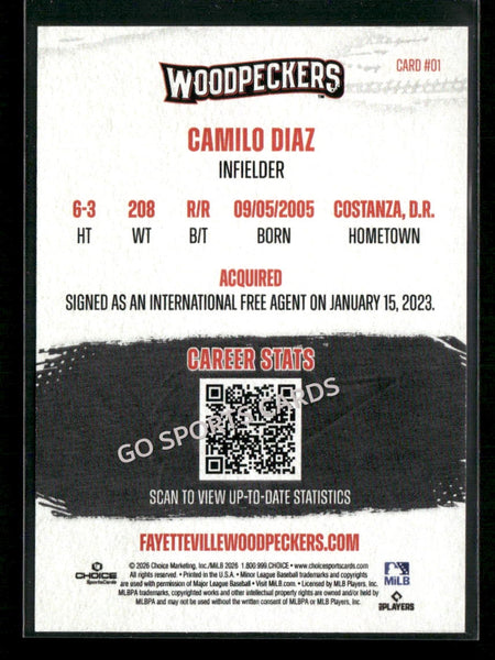 2026 Fayetteville Woodpeckers Camilo Diaz