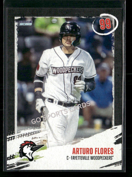 2026 Fayetteville Woodpeckers Arturo Flores