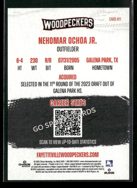 2026 Fayetteville Woodpeckers Nehomar Ochoa Jr