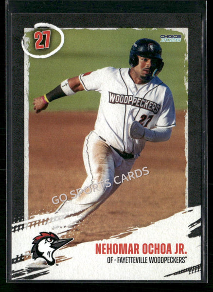2026 Fayetteville Woodpeckers Nehomar Ochoa Jr