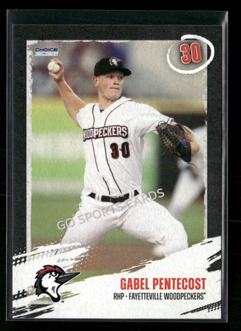 2026 Fayetteville Woodpeckers Gabel Pentecost