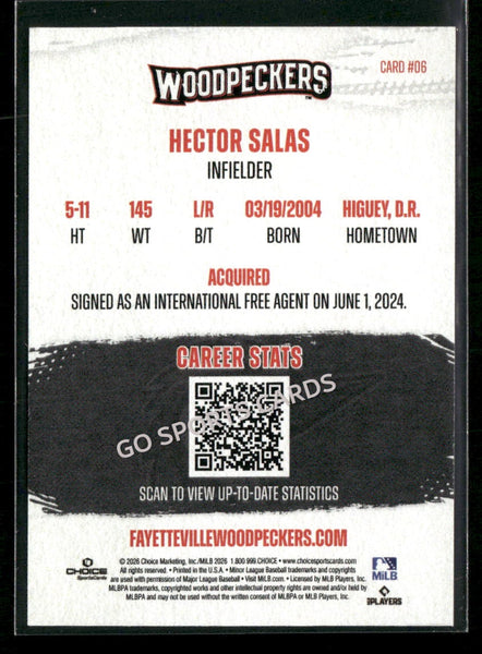 2026 Fayetteville Woodpeckers Hector Salas