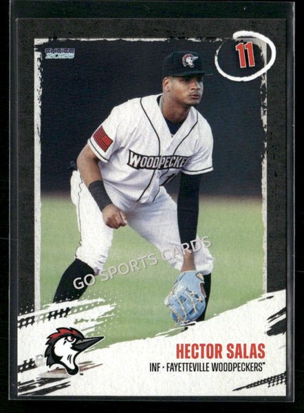 2026 Fayetteville Woodpeckers Hector Salas