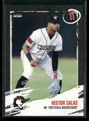 2026 Fayetteville Woodpeckers Hector Salas