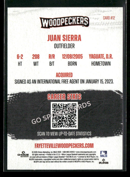 2026 Fayetteville Woodpeckers Juan Sierra