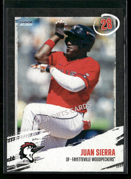 2026 Fayetteville Woodpeckers Juan Sierra