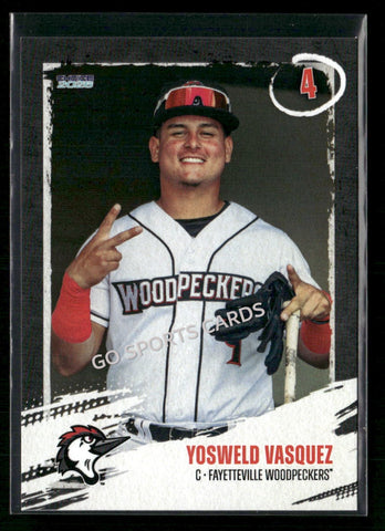 2026 Fayetteville Woodpeckers Yosweld Vasquez
