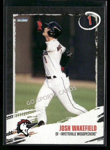 2026 Fayetteville Woodpeckers Josh Wakefield
