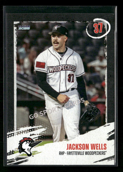 2026 Fayetteville Woodpeckers Jackson Wells