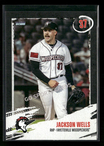 2026 Fayetteville Woodpeckers Jackson Wells