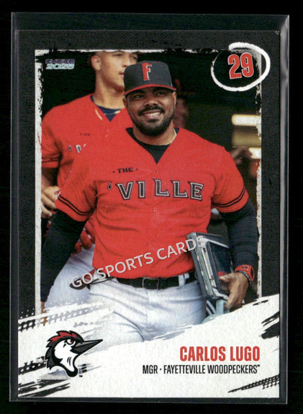 2026 Fayetteville Woodpeckers Carlos Lugo