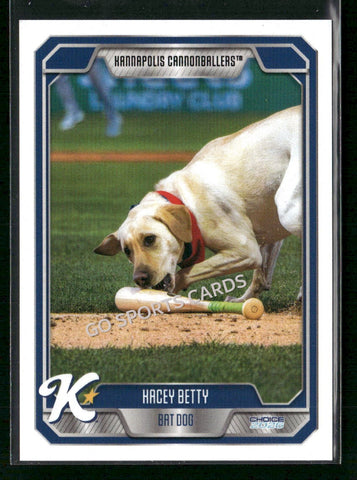 2026 Kannapolis Cannonballers Kacey Betty Bat Dog