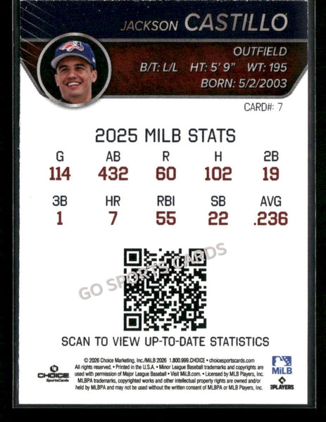 2026 Somerset Patriots Jackson Castillo