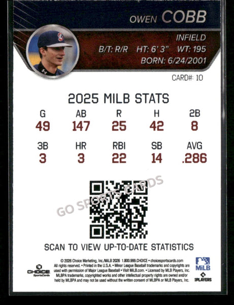 2026 Somerset Patriots Owen Cobb