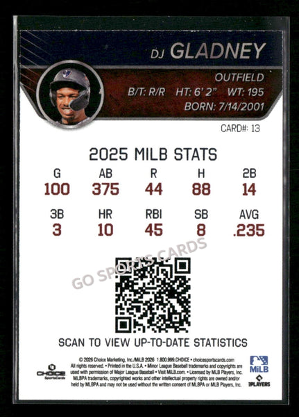 2026 Somerset Patriots DJ Gladney