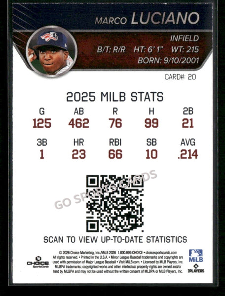 2026 Somerset Patriots Marco Luciano