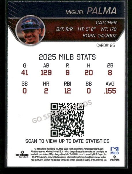 2026 Somerset Patriots Miguel Palma