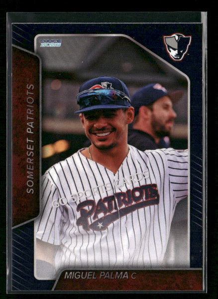 2026 Somerset Patriots Miguel Palma