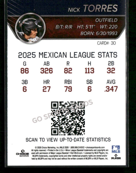 2026 Somerset Patriots Nick Torres