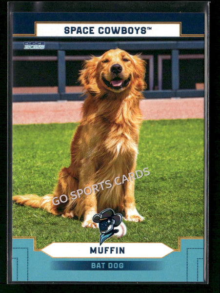 2026 Sugar Land Space Cowboys Muffin Bat Dog