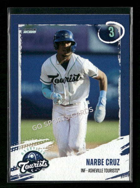 2026 Asheville Tourists Narbe Cruz