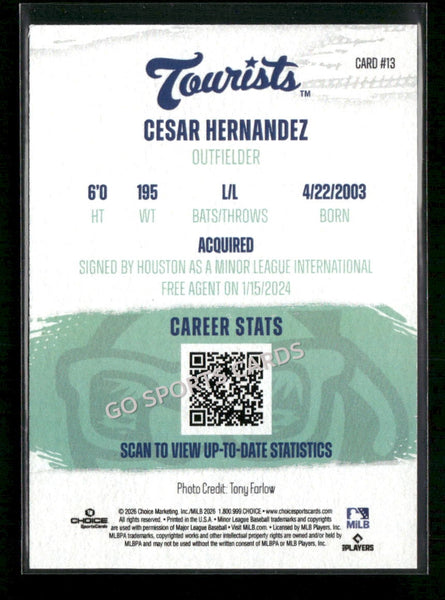 2026 Asheville Tourists Cesar Hernandez