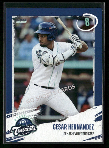 2026 Asheville Tourists Cesar Hernandez
