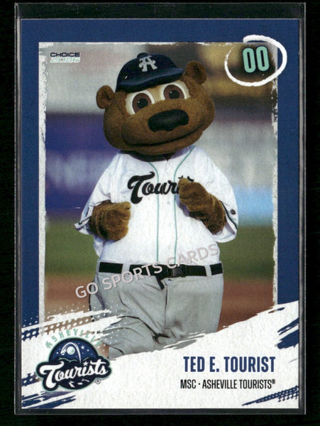 2026 Asheville Tourists Ted E Tourist