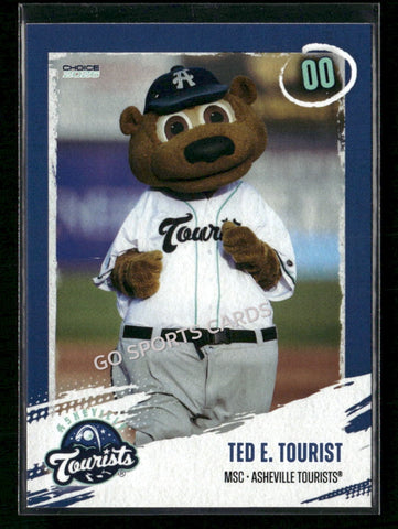 2026 Asheville Tourists Ted E Tourist