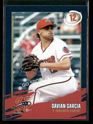 2026 Harrisburg Senators Davian Garcia