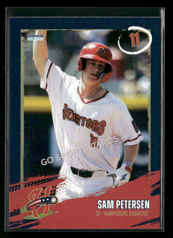 2026 Harrisburg Senators Sam Petersen